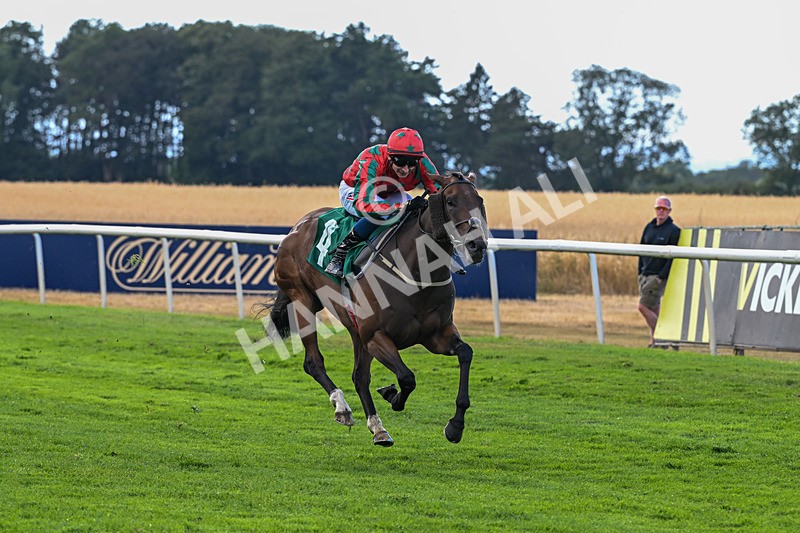 010826-Race 7-Maldevious-3485 - Race 7 16.55pm John Joseph Robson Memorial Handicap