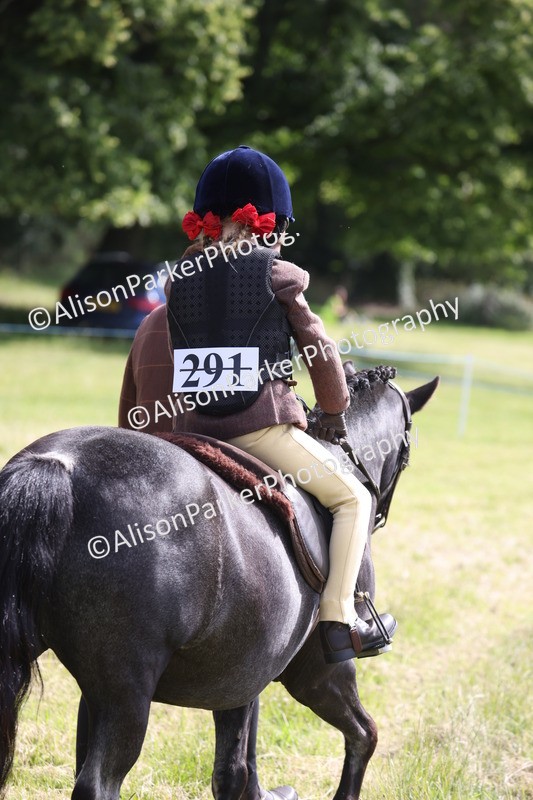 20260614-0594 - Class 20 - Beginners Working Hunter Pony