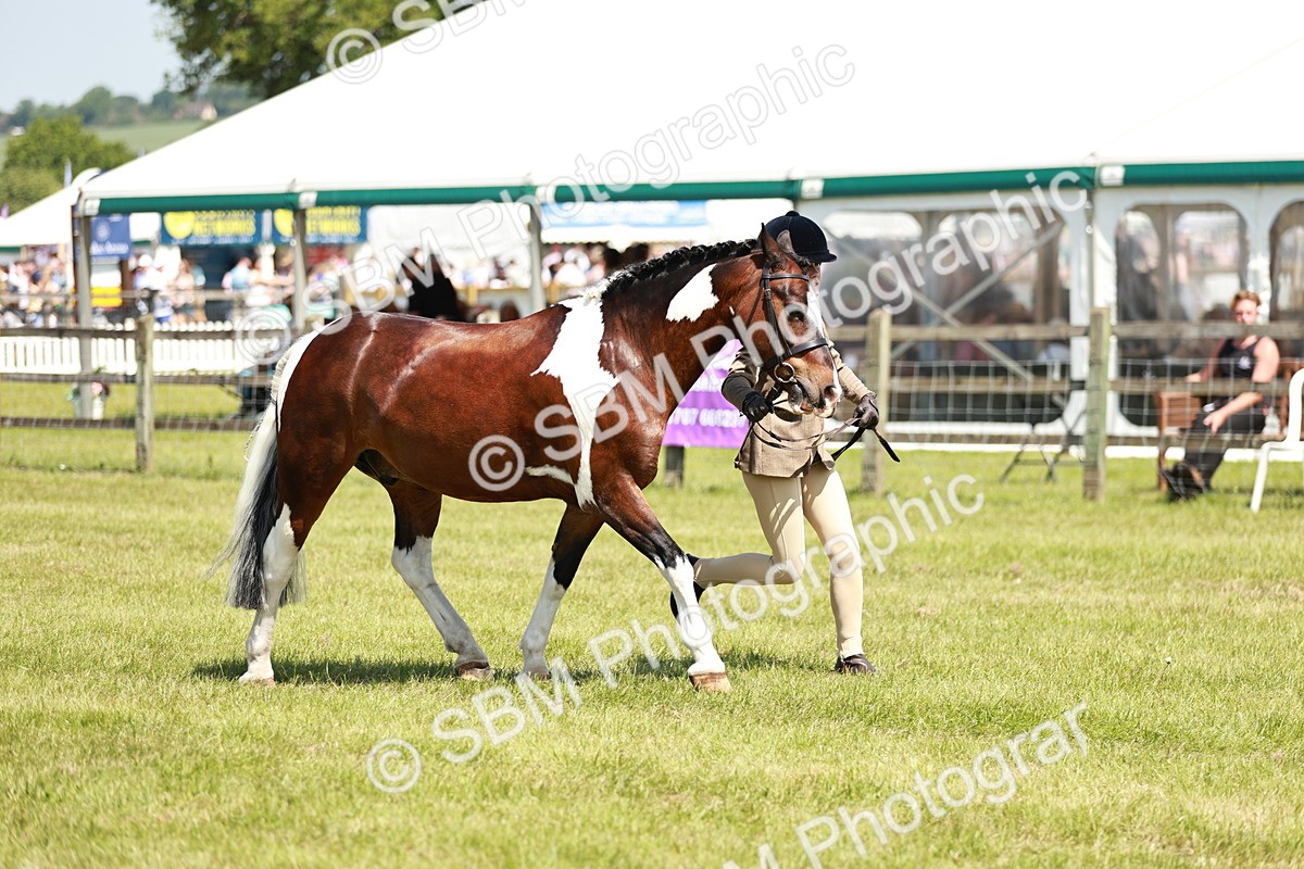 SBM_15497 - Class 108-109 - BSPS LIHS Open Gradle & Nursery Stakes