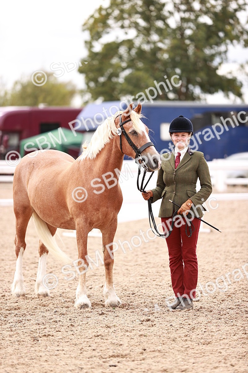 SBM_16339 - Class 413 - Best Condition - Adult