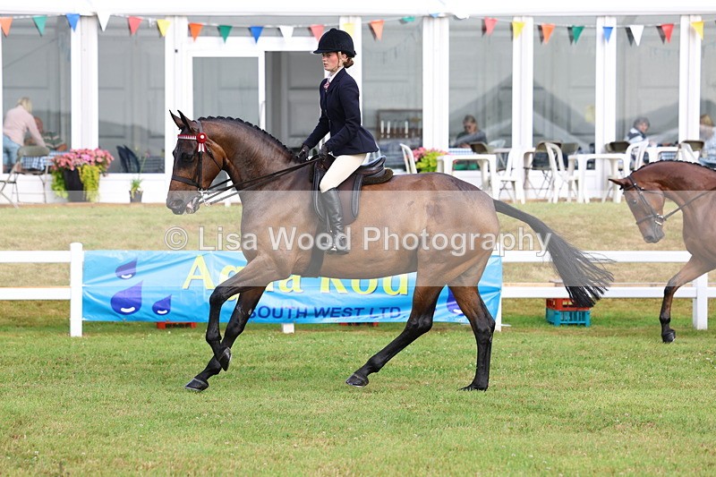 3E7A8065 - Class 2: Rising Star Large Hack/Riding Horse