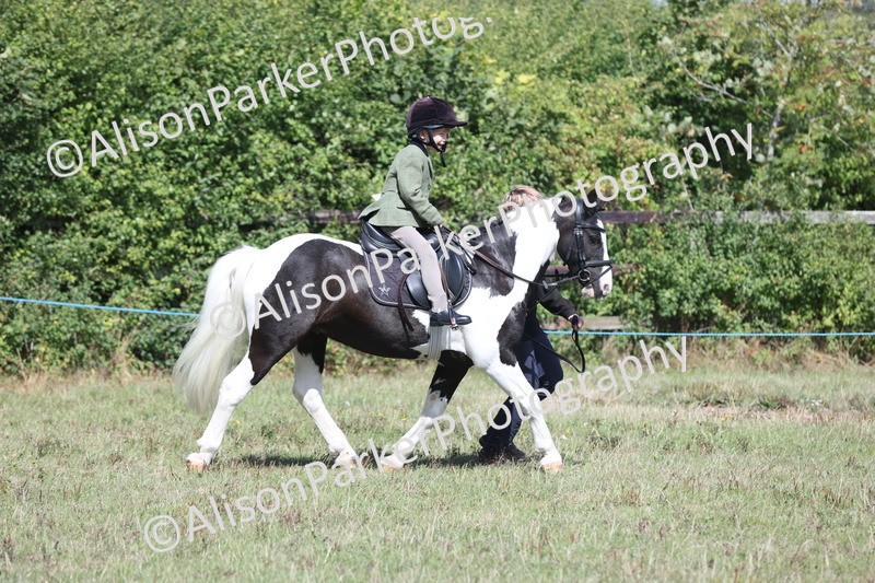 20250831-2671 - Class 17 - Lead Rein Pony