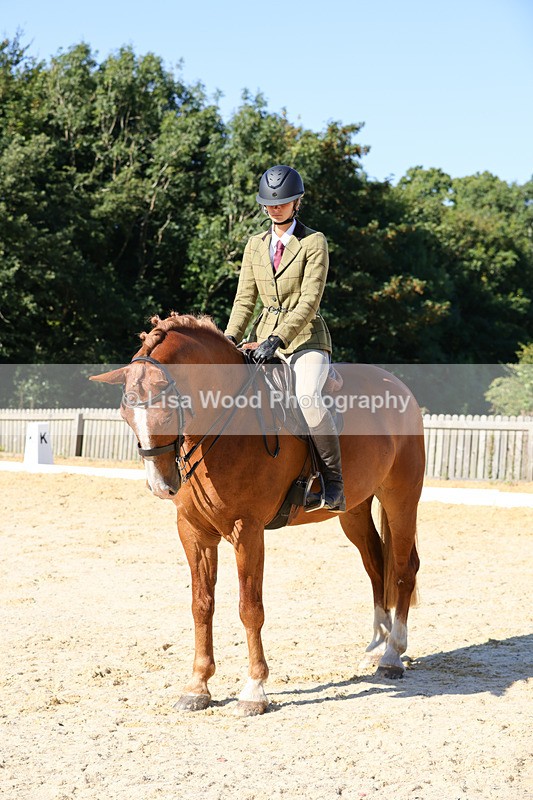 1X9A7828 - Class 9: Open Ridden Hunter