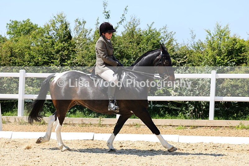 1X9A1783 - Class 11: Ridden Cob