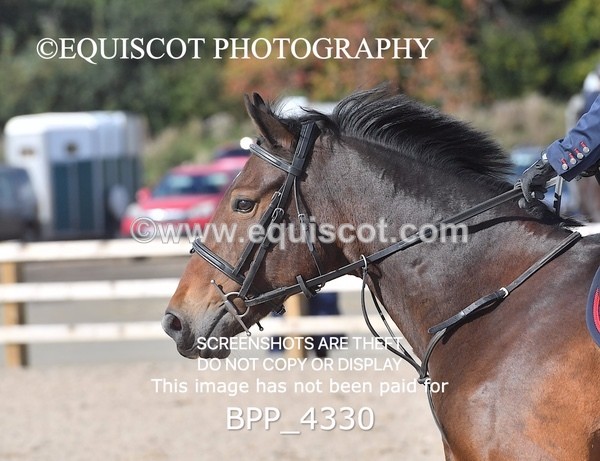 BPP_4330 - CLASS 6 HORSE 60CM FINAL