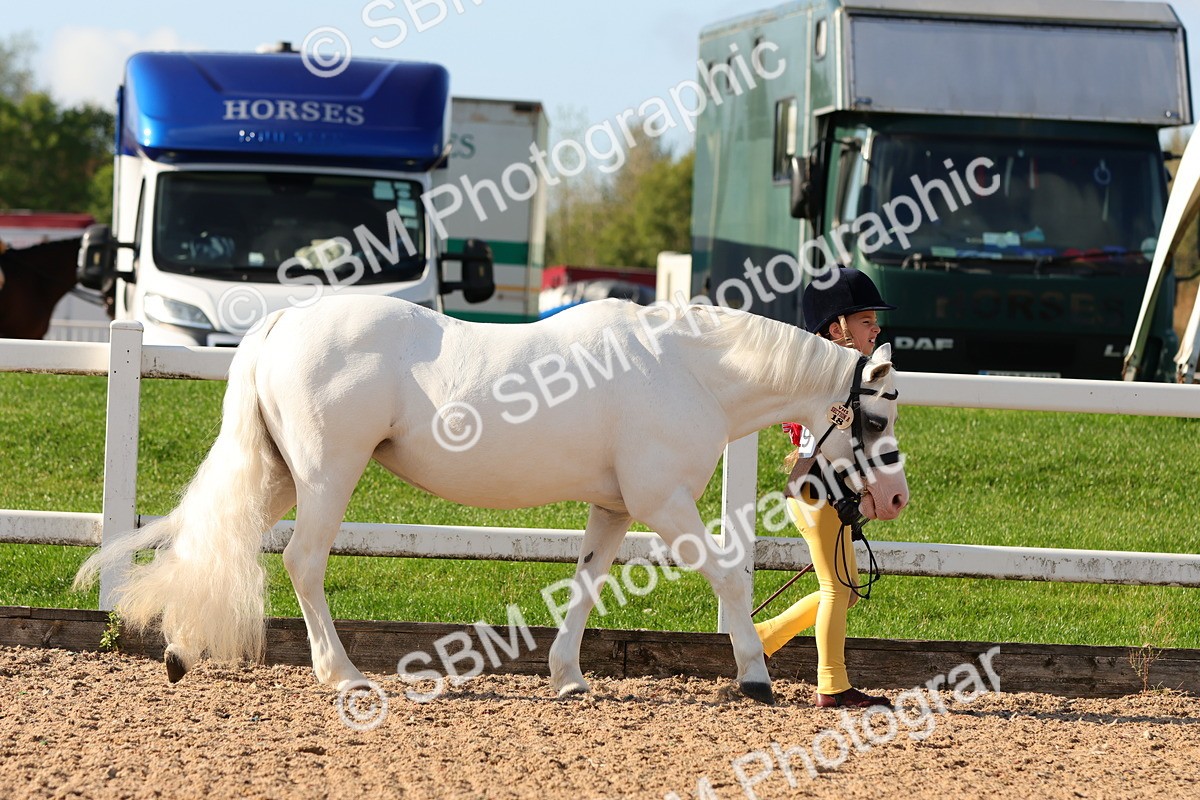 SBM_08618 - Class 203 - Young Handler 10 Years and Under