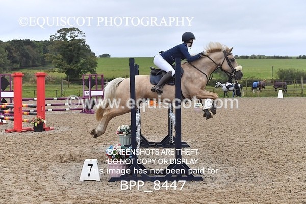 BPP_8447 - CLASS 3 Pony BritiNovice / 0.80m Open