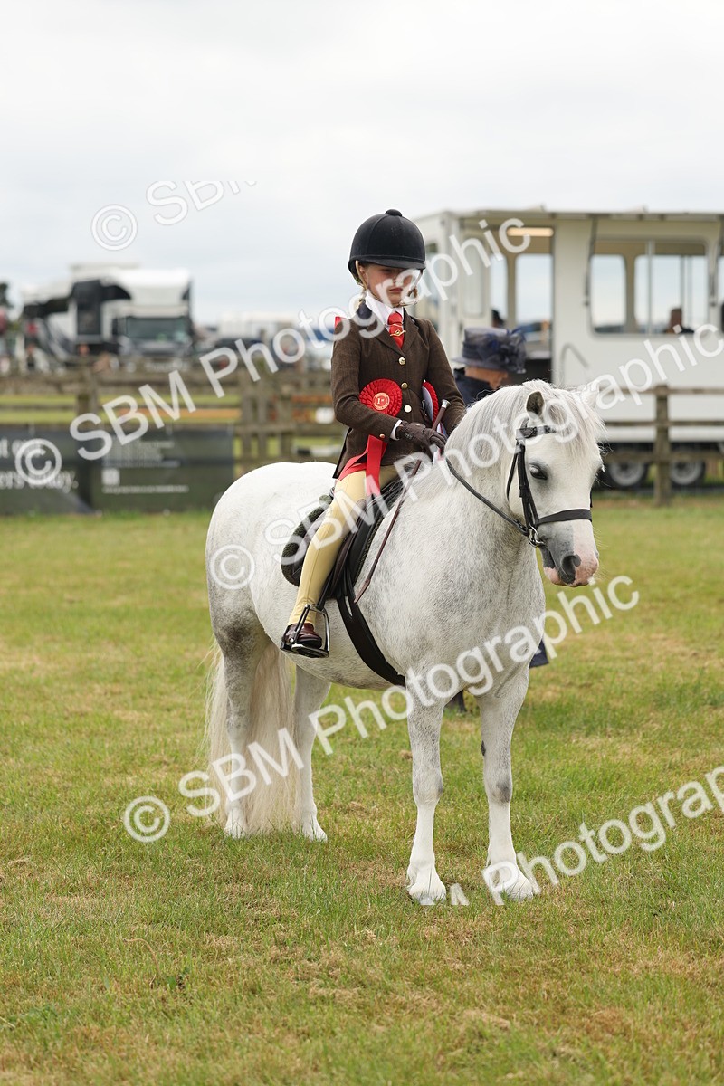 SBM_06952 - Class 74-75 - M&M Lead Rein and First Ridden Pony