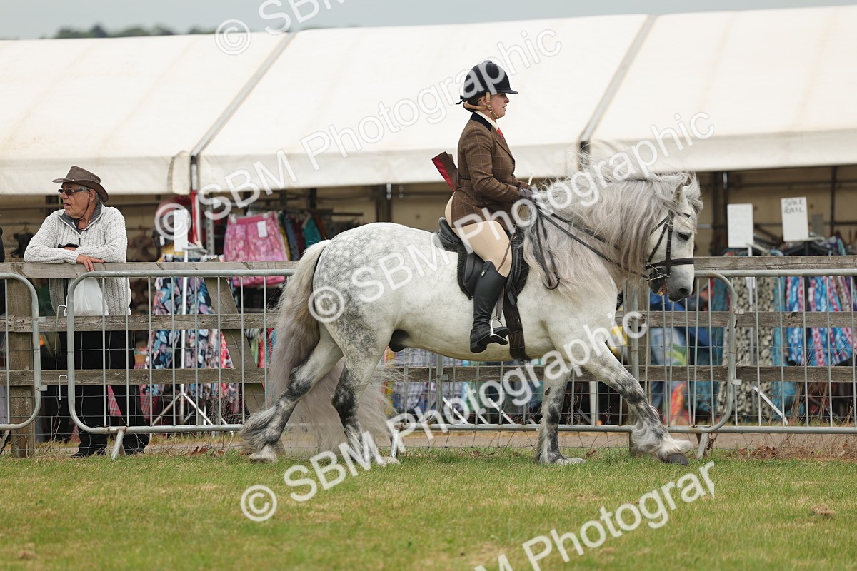 SBM_08946 - Class 78-80 - Ridden M&M Non Welsh Ponies