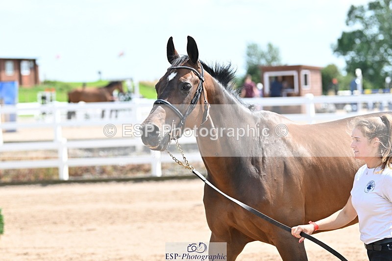 240717A-150105-02450 - Trot Up 3pm to 4pm