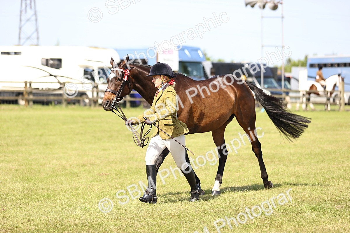 SBM_13034 - Class 75-76 LIHS BSHA Rising Star Hack Riding Horse