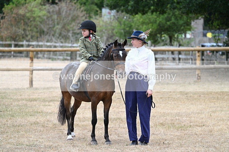 WJ7_0411 - Class 6 Ridden Mountain and Moorland