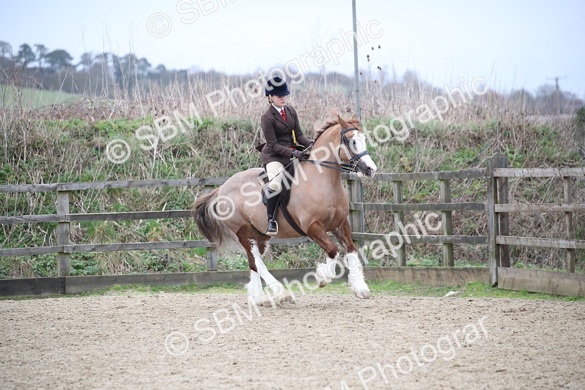 SBM_006256 - Class 10-13 - RIHS Small Large Breeds