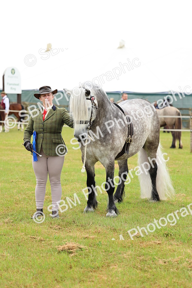 SBM_00574 - Class 58-67 - M&M Non Welsh Pony In hand