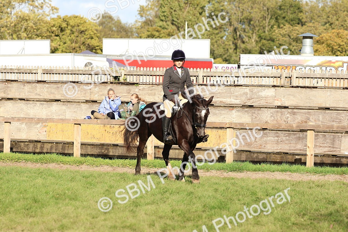 SBM_52521 - S13 - Pony Club Pony