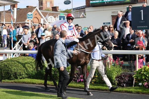 yr18082021r5-22 - Race 5 4.10pm Sky Bet Stakes