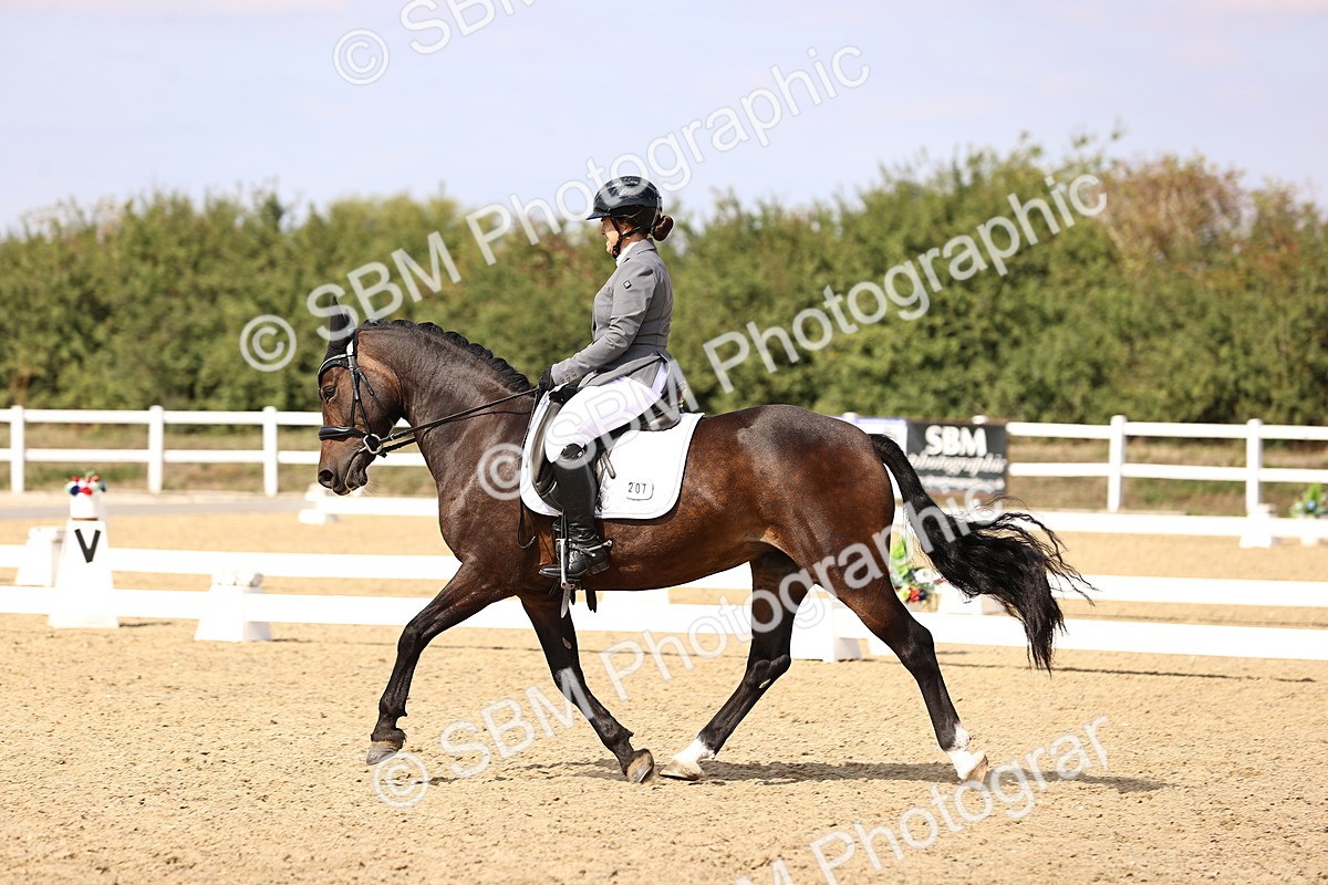 SBM_015015 - Class 6 - Elementary 5