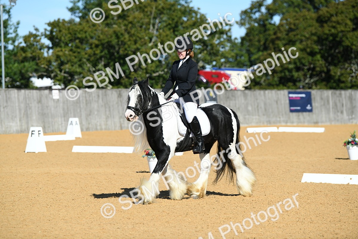 SBM_18069 - D4 - Small Tour Championship - Intro B