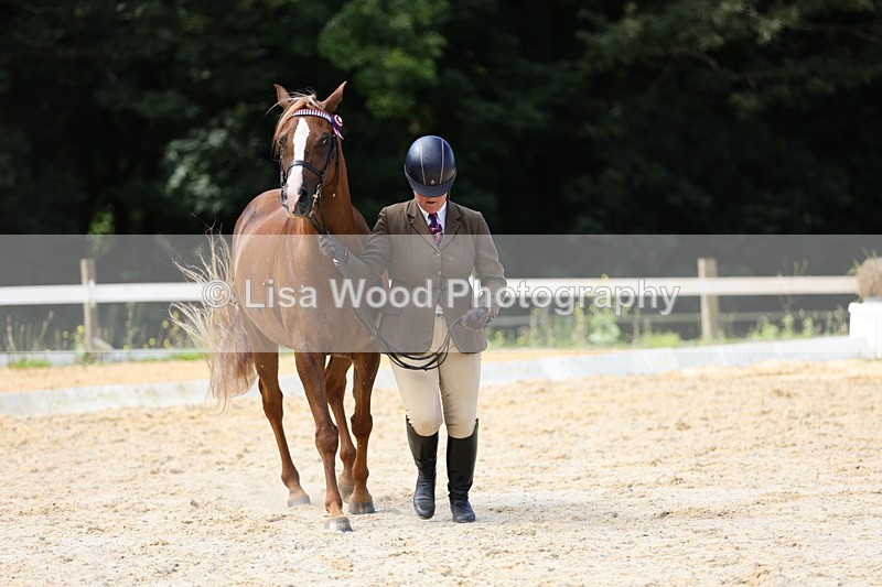 1X9A8370 - Class 13: Arab Ridden