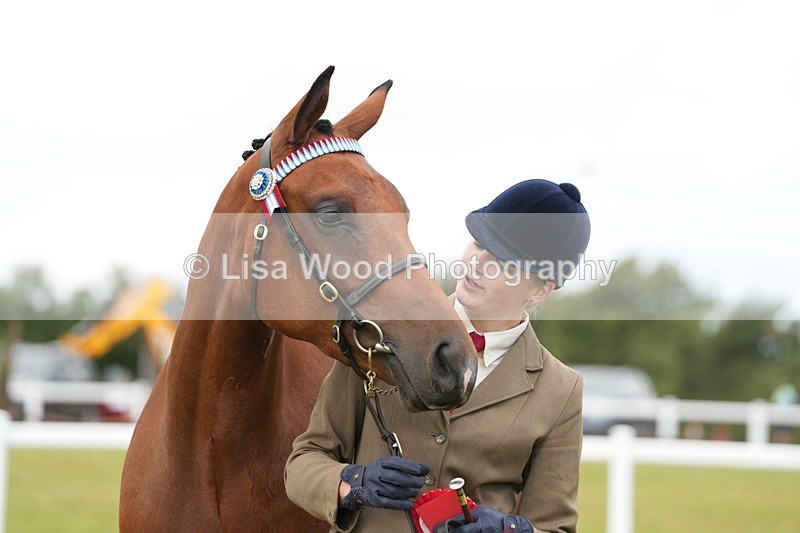 DSC06403 - Class 55: Hunter/Riding Horse/Hack 3 & 4 yr olds