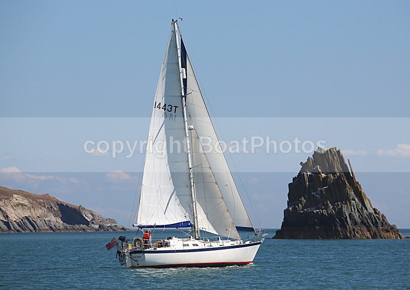 140729 SCOT FREE GBR1443T WT7A1861 - 140729 SCOT FREE GBR1443T