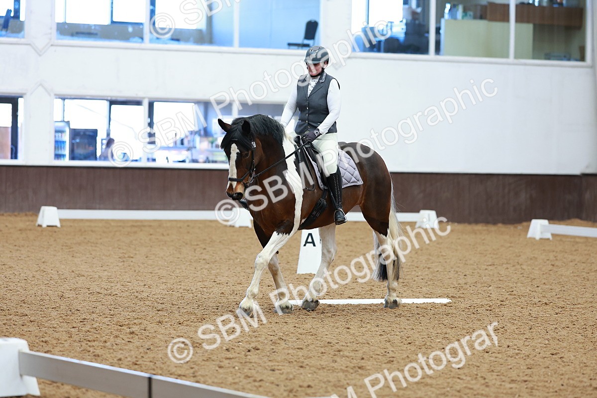 SBM_002880 - Class 14 - Novice 2
