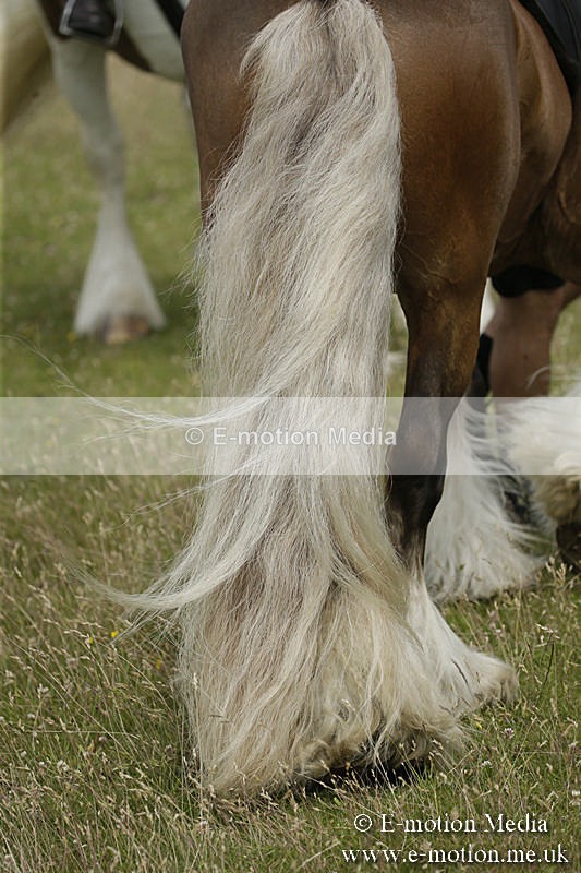 B230619-0462 - Bourne Valley Riding Club Summer Show 23/06/19