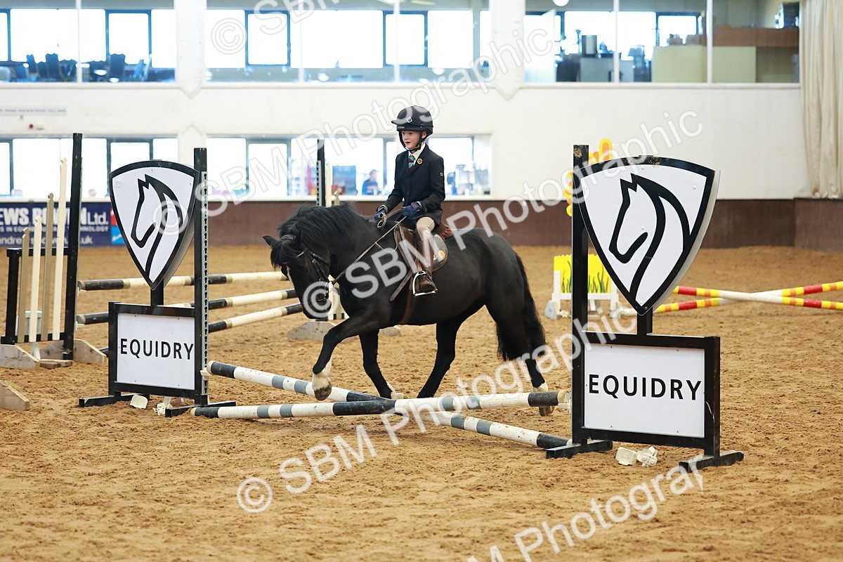 SBM_005186 - Class 1 - 40cm