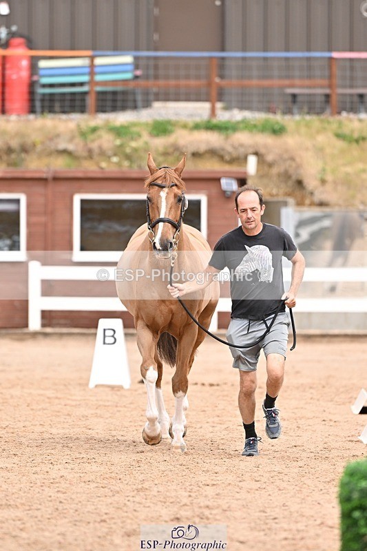 250716-153932-02085 - Trot Up 3.30 to 4.30