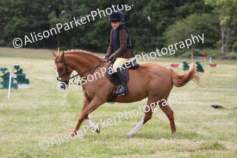 20260614-2903 - Class 22 - Open Working Hunter