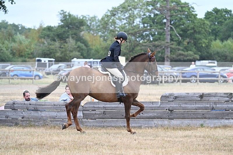 WJ7_0873 - Class 7 Riding Club Show Horse