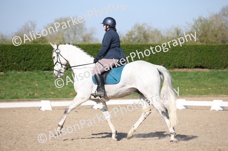 20250405-0192 - Class 11 - My Quest Novice 3