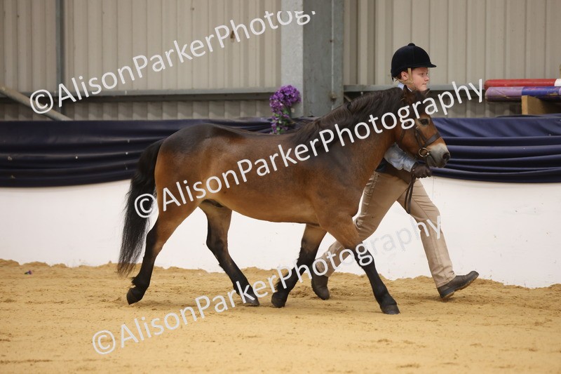 20260913-0055 - Class 121 - Young Handler 5-16