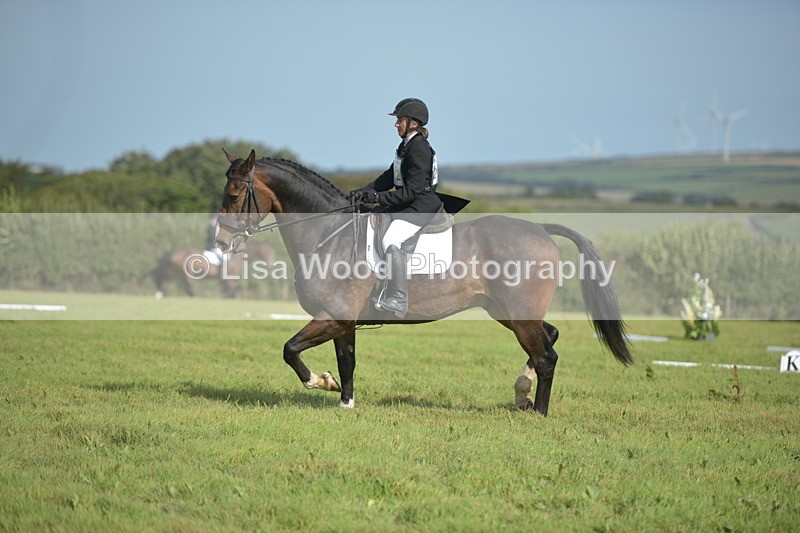 RAY_7948 - Class 2B: Trekenning Open: Dressage
