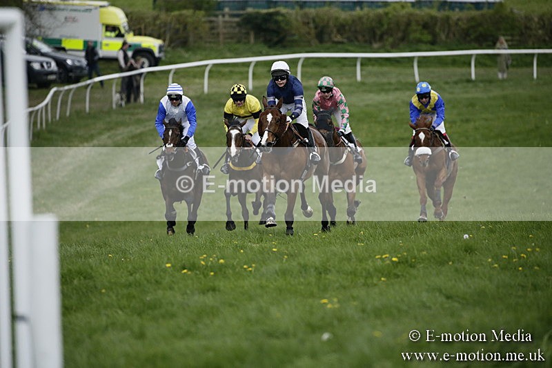 PtP 170417 530 - Old Berks Point-to-Point Lockinge 17/04/17