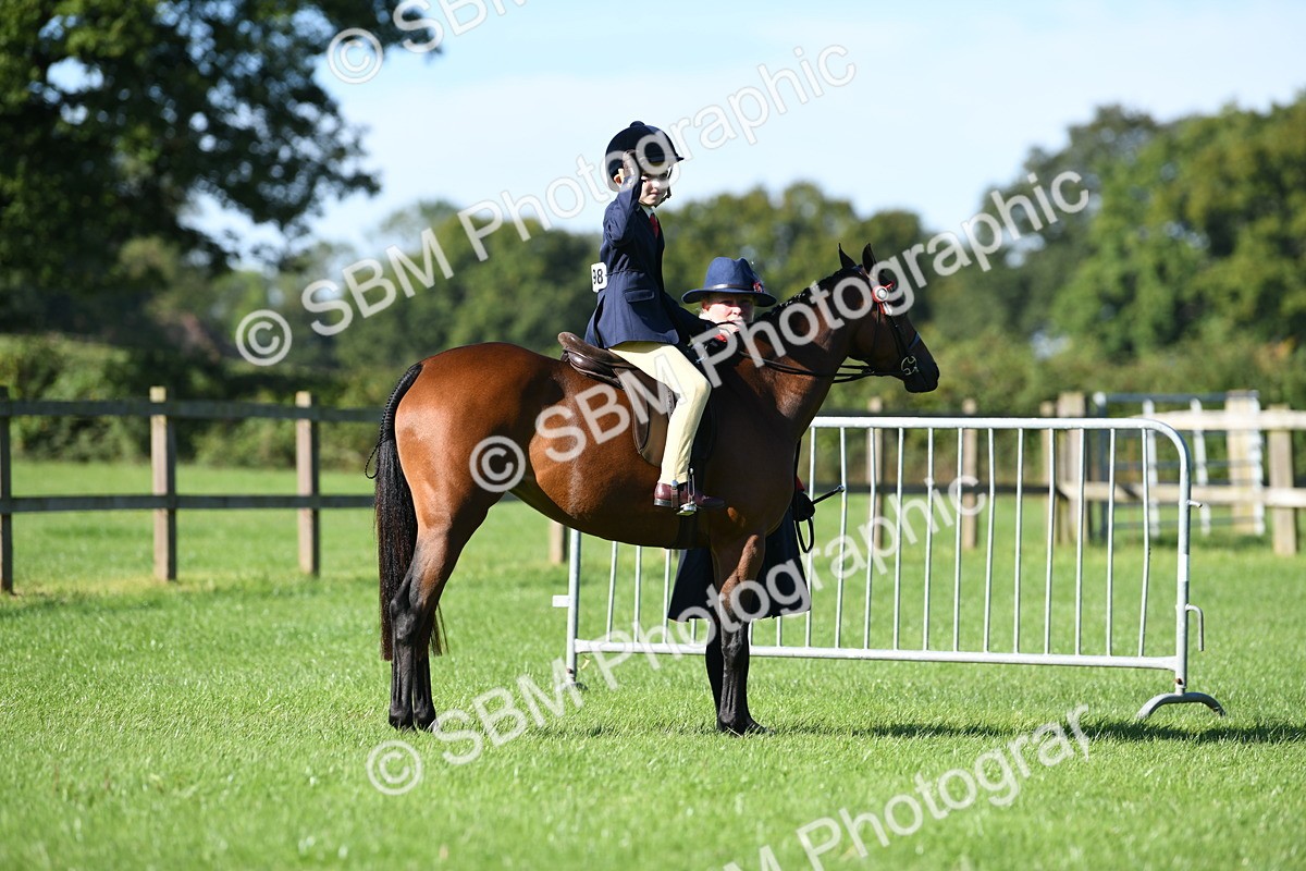 SBM_36806 - S18 - Novice & Newcomers Lead Rein Pony