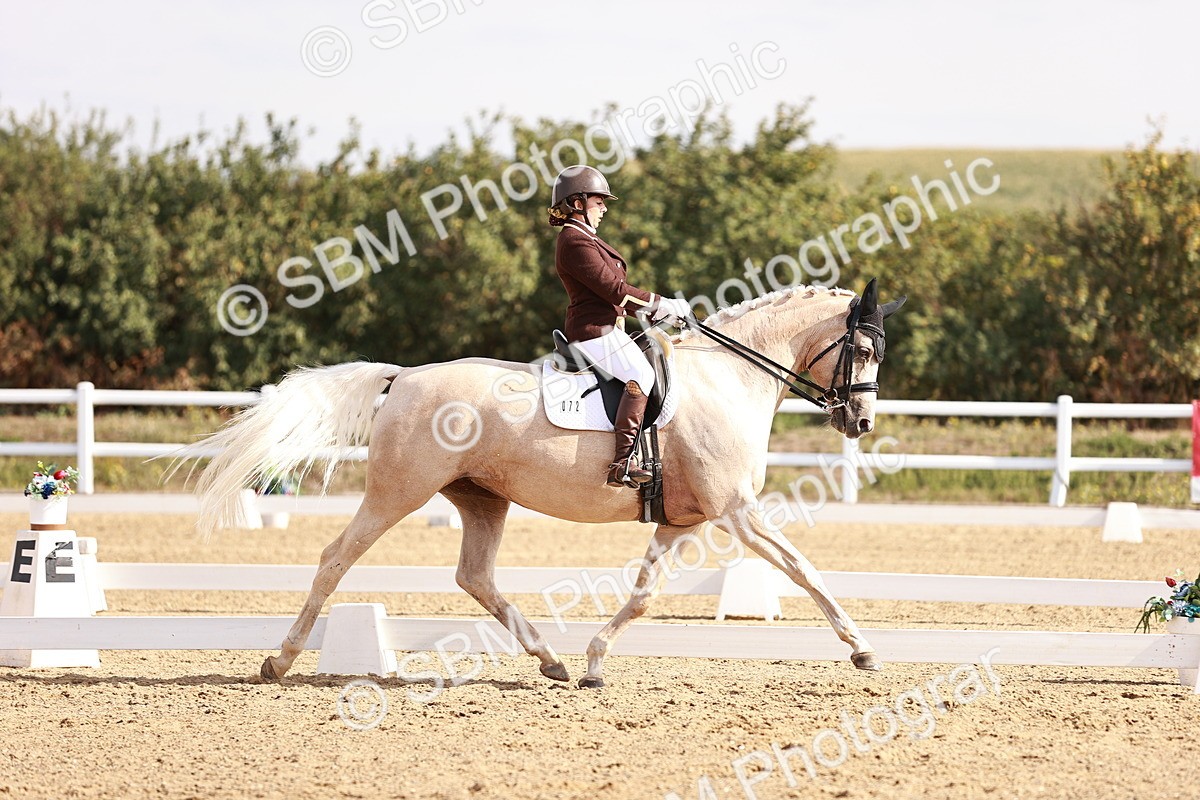 SBM_017014 - Class 10 - Medium 6