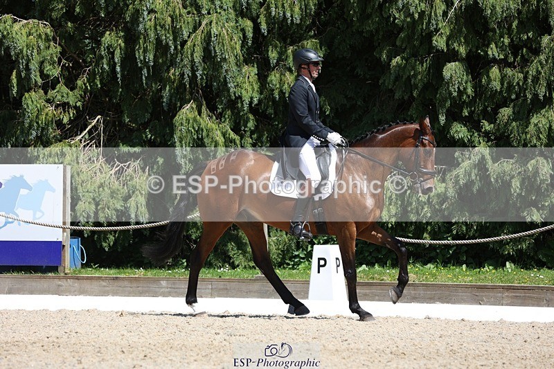 230526-140853-06462 - 371-JERPOINT_ECLIPSE-Max_Gordon-WEDTrotUp+DR