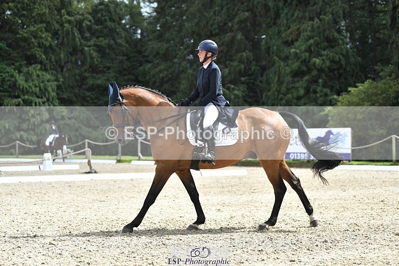 230812-135449-04548 - Cls 7 FEI PSG Bronze