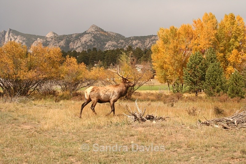  - Wildlife & People