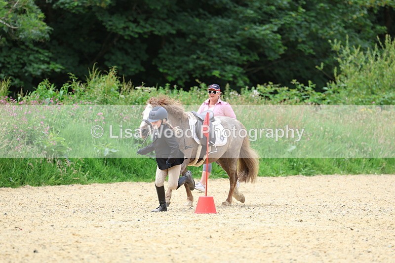 3E7A9389 - Walk trot run