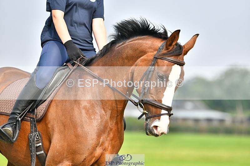 230817-093126-02577 - Abbie's 1st Group - Dressage