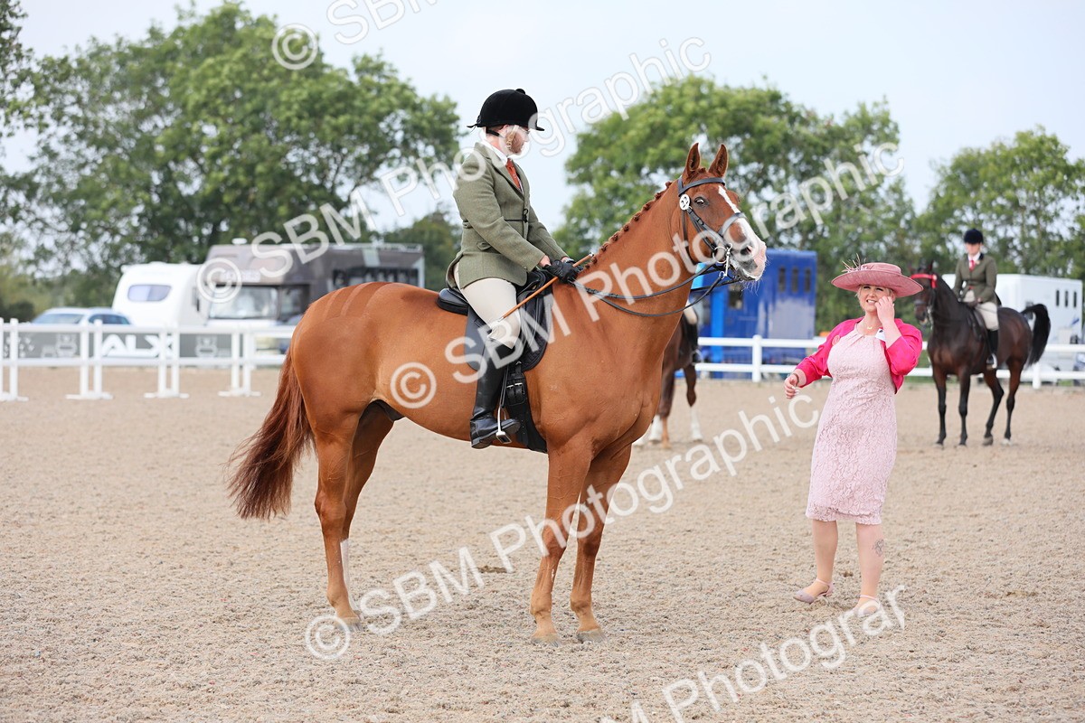 SBM_11433 - Class 305 Ridden Foreign Breeds- Pure Bred