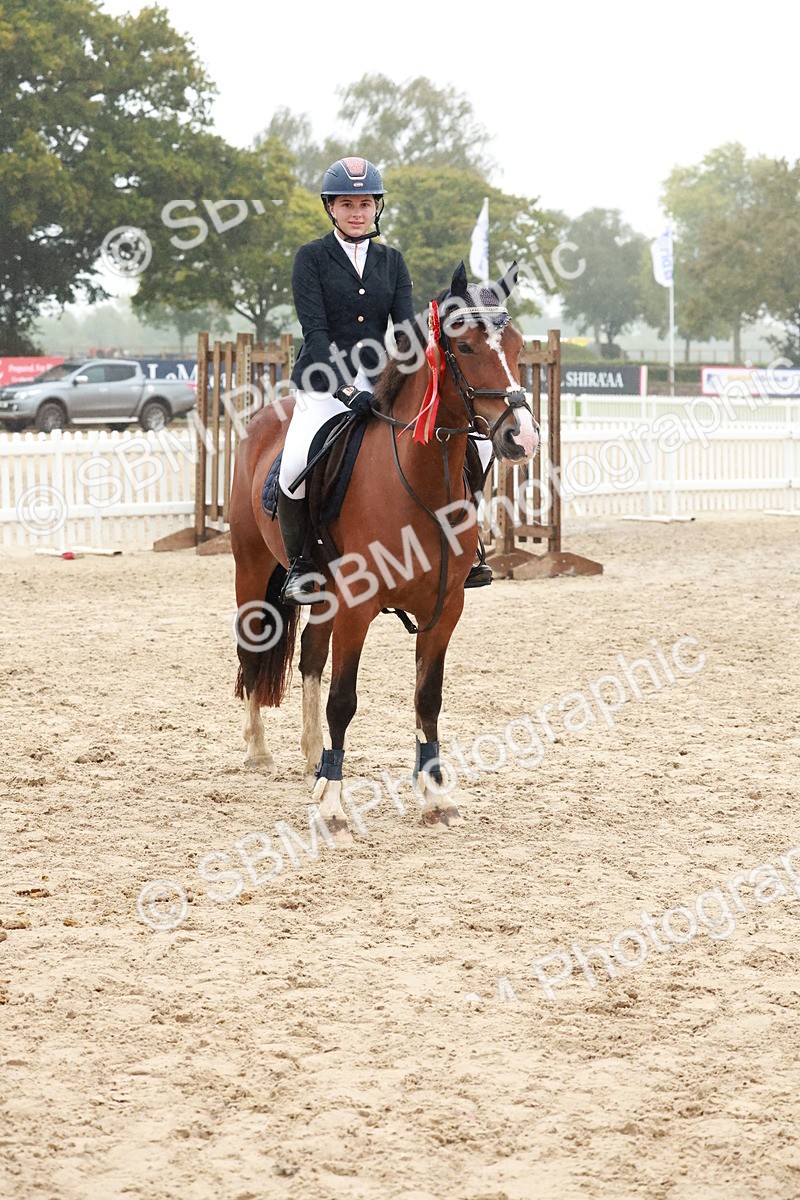 SBM_73636 - Supreme Championship Junior Pony 60cm & 65cm