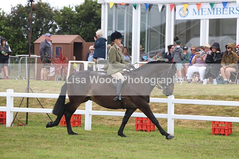 3E7A1432 - Class 9: Open Hunter