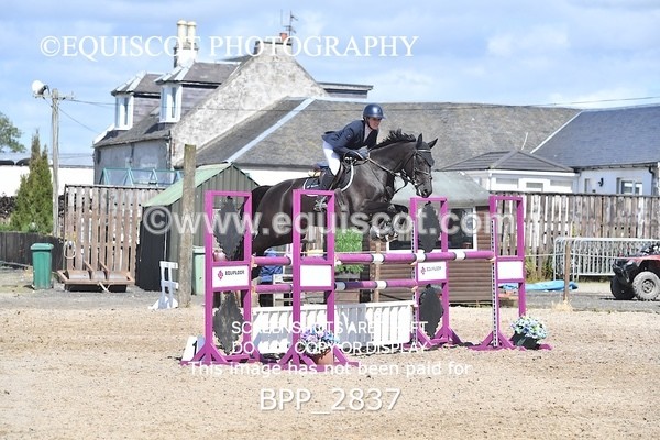 BPP_2837 - CLASS 7 SAT Senior Foxhunter/ 1.20m Open