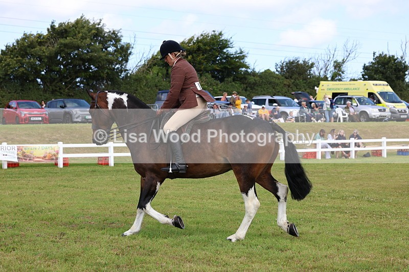 3E7A9966 - Class 5: Rising Star Lightweight/Heavyweight Cobs