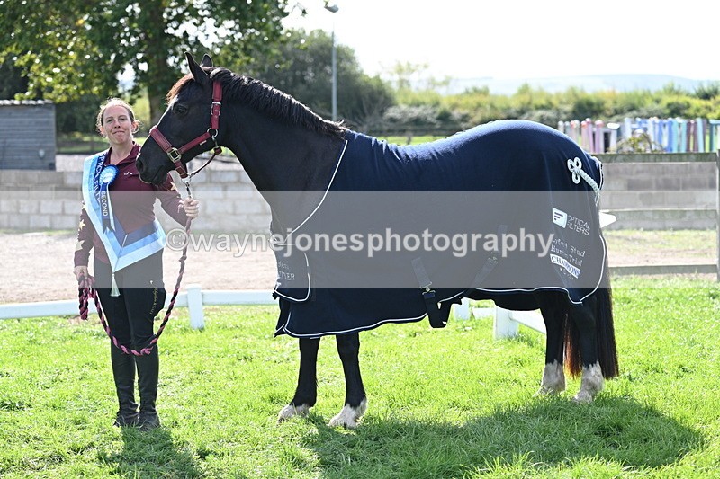 WJ7_1718 - 80cm Champs