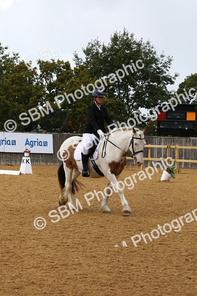 SBM_21001 - D5 - Small Tour Championshop Intro 2