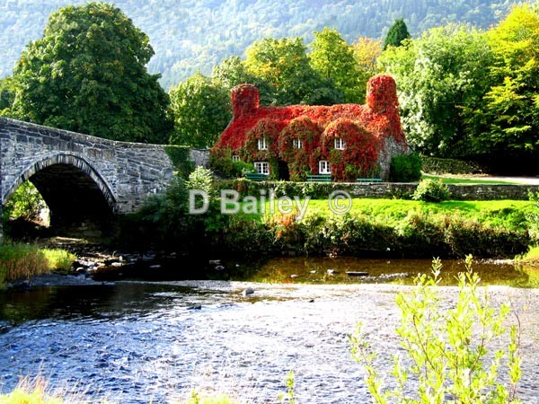 Ty-Hwynt-Ir-Bont-Llanrwst - Mixture A4